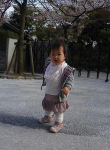 005_convert_20100424174817.jpg