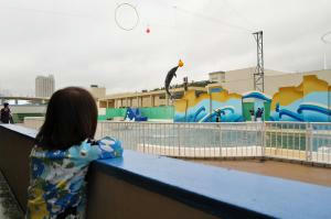 080_convert_20101102223846.jpg