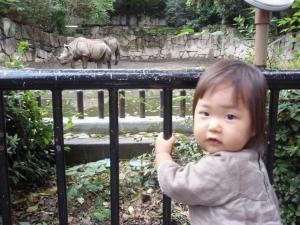 018_convert_20101129230454.jpg