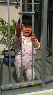 201105190833000.jpg