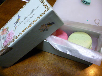 P1030231.JPG