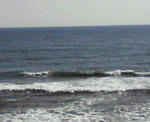 NEC_0004.JPG