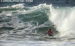 occhilupo_m_rcp03_tostee_02.jpg