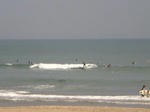CIMG0600.JPG