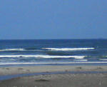 200808011119000.jpg