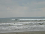 CIMG0671.JPG