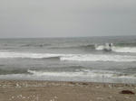 CIMG0788.JPG
