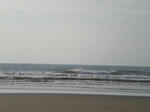CIMG0828.JPG