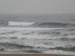 CIMG0870.JPG
