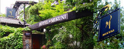 mikuni.jpg