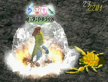 今日も今日とて蟹鍋(｀・ω・´)