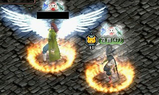 あこがれ。
