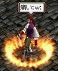 main204.jpg