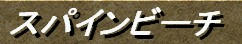 main228.jpg