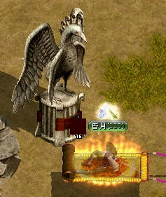 main237.jpg