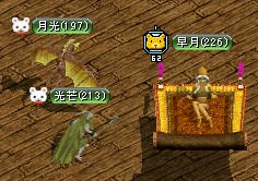 pet-2.jpg