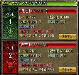 pet-3.jpg