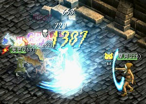 pet-4.jpg