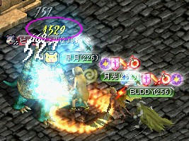 pet-5.jpg