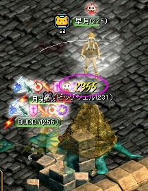 pet-8.jpg