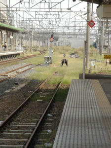 DSC05763.JPG