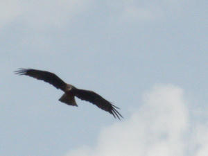 DSC05757.JPG