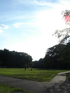 DSC05717.JPG