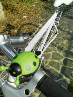 bike.jpg