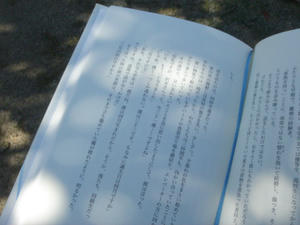 DSC05865.JPG
