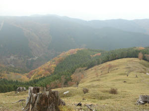 DSC05888.JPG