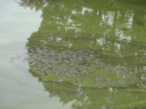 DSC05905.JPG