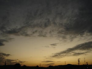 DSC05864.JPG