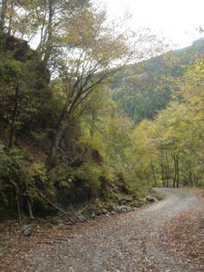 DSC05899.JPG