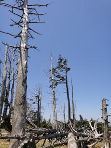 DSC00352.JPG