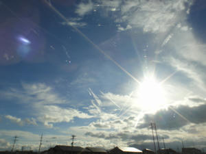 DSC00796.JPG