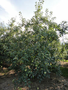 DSC00916.JPG