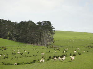 DSC01012.JPG