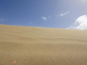 DSC01049.JPG