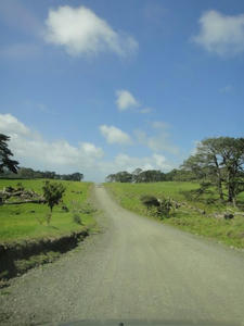 nz010.jpg