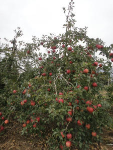 DSC01913.JPG