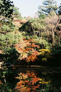 FH000021.JPG