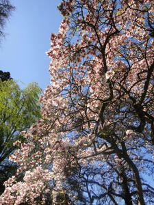 DSC01795.JPG