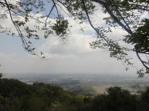 DSC02106.JPG