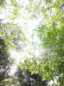 DSC02101.JPG