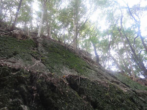 DSC02137.JPG