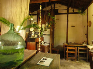 DSC02166.JPG