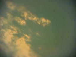 lento_20110907180638.jpg