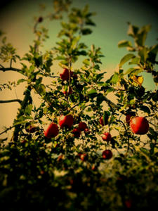20111116_162625.jpg