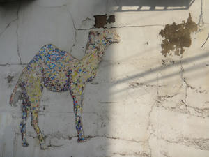 DSC02480.JPG