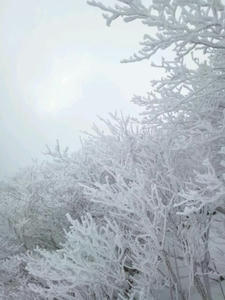 20120213_000326.jpg